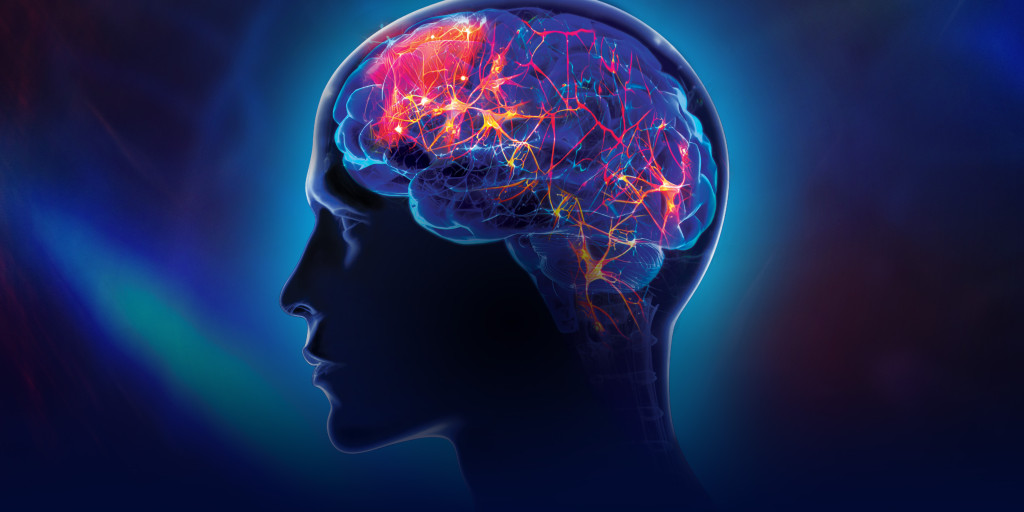 Illustration of neural pathways and neuroplasticity supported by ExoTMS technology used in the Exomind brain wellness treatment